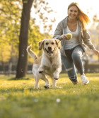 Physical Activity for Your Dog